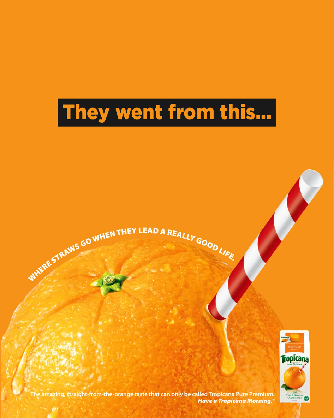 Old Tropicana Juice Box